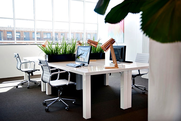 flexibele kantoorruimte huren alphen aan den rijn